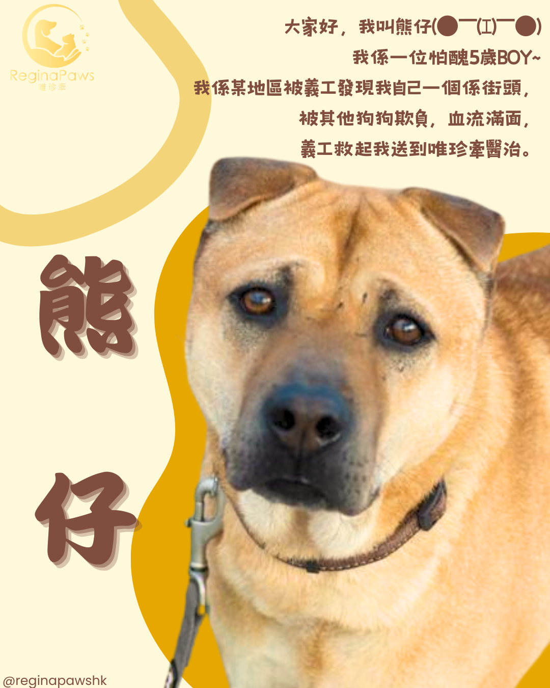 熊仔